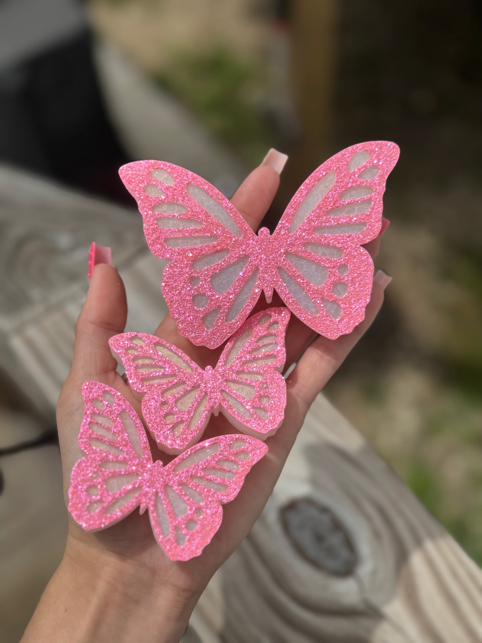 Butterfly Set Freshie